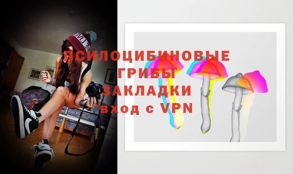 дурь Балахна