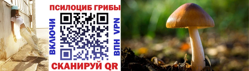 Купить Касли Псилоцибиновые грибы GOLDEN TEACHER